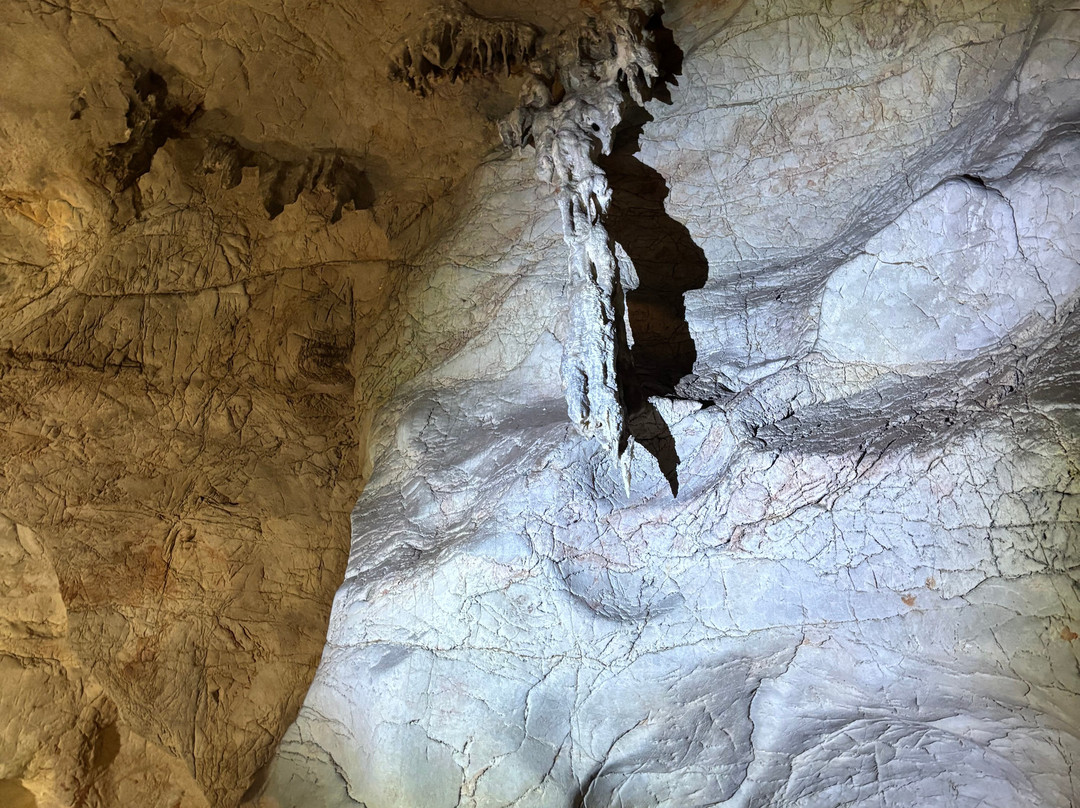 Wellington Caves & Phosphate Mine-Wellington必去景点