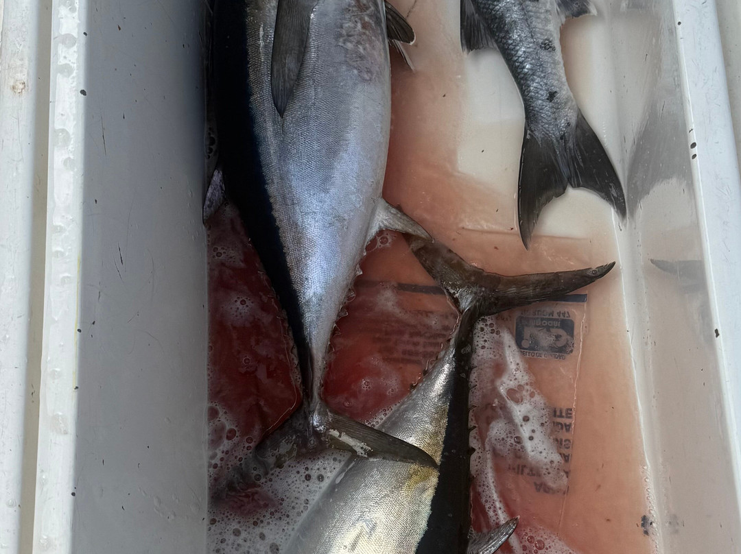 High Z's Fishing Tours-普拉塔港必去景点