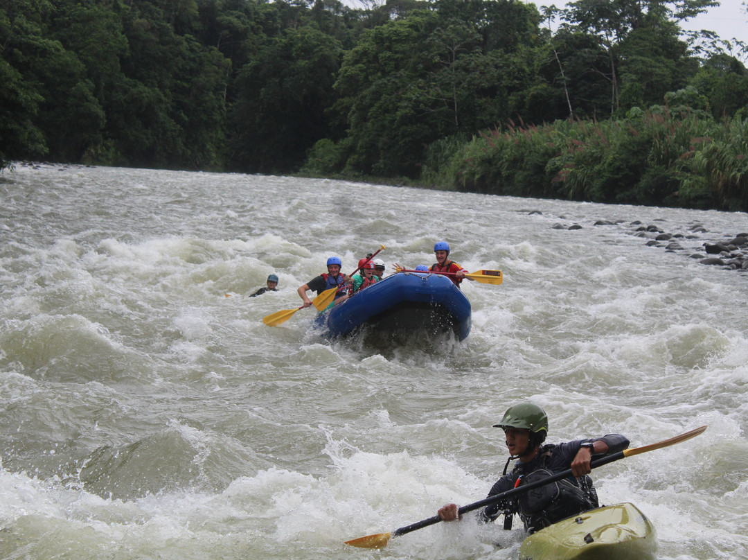 Green Rivers Rafting & Kayaking Company-Puerto Viejo de Sarapiqui必去景点