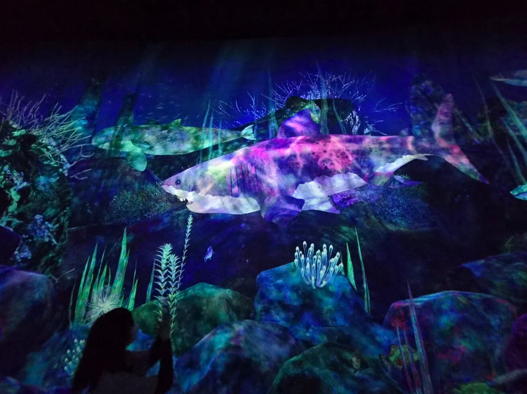 teamLab Planets TOKYO-Toyosu必去景点