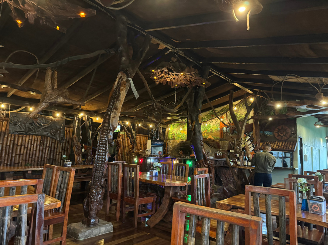 Bijagua Rainforest - Tours-Bijagua de Upala必去景点