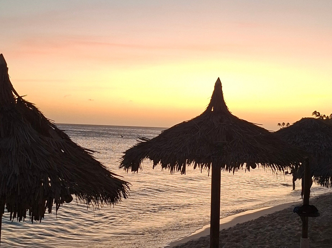 Divi Beach-奥腊涅斯塔德必去景点