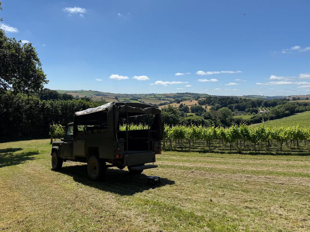 Sandridge Barton Wines-托特尼斯必去景点
