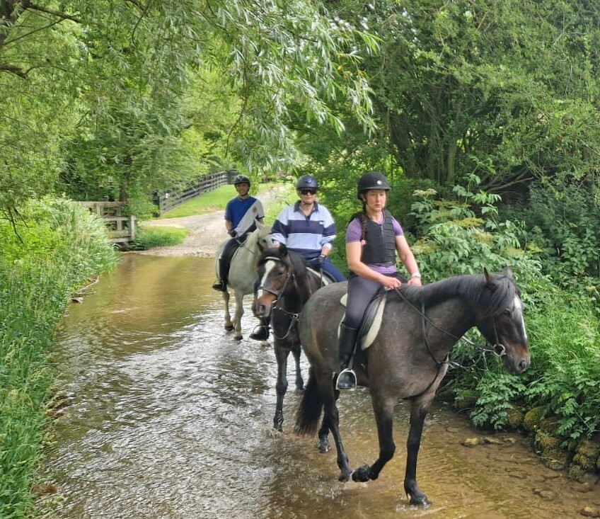 Bilsdale Riding Centre-Hawnby必去景点