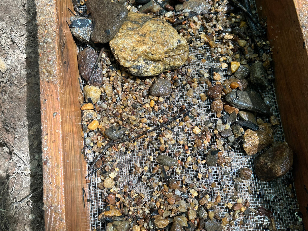 Emerald Hollow Mine-Hiddenite必去景点
