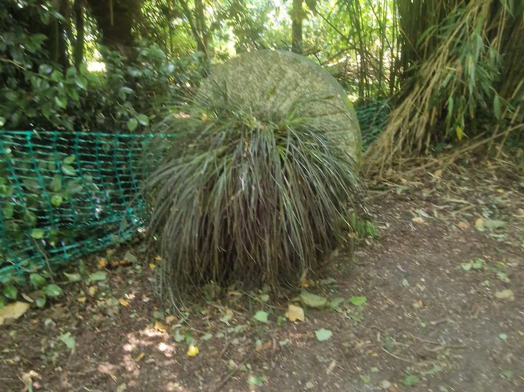 Trengwainton Garden-彭赞斯必去景点