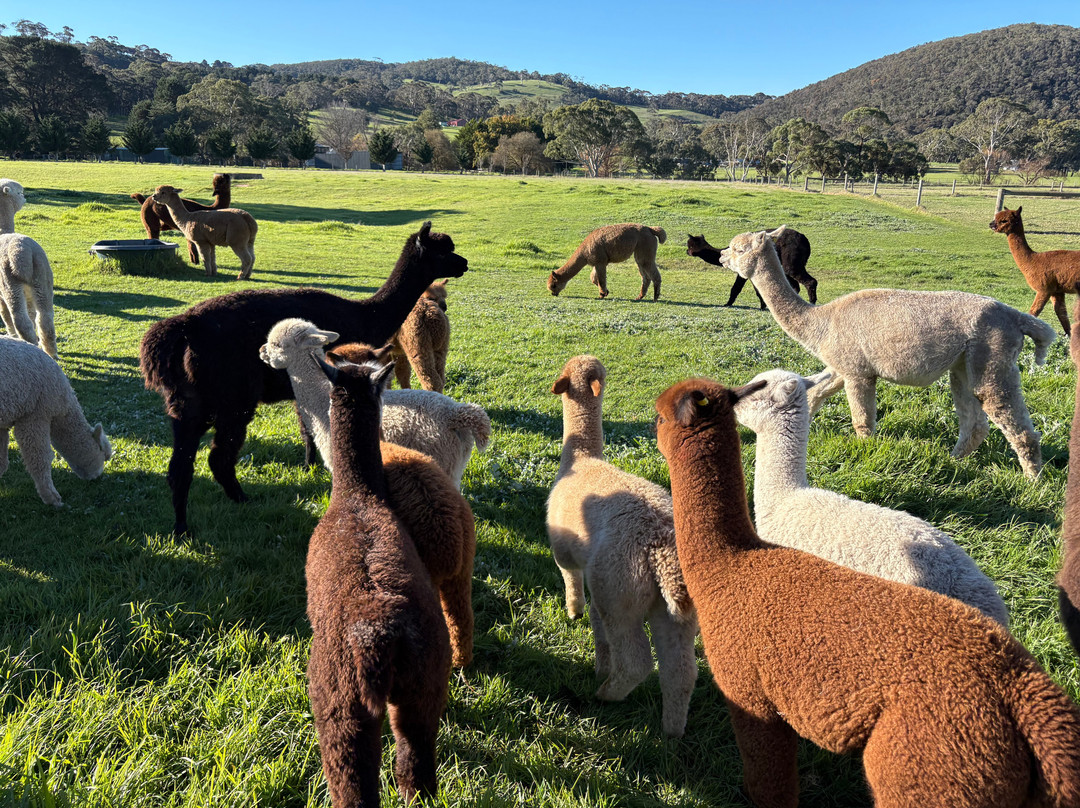 Softfoot Farm & Wildlife Park-Hindmarsh Valley必去景点