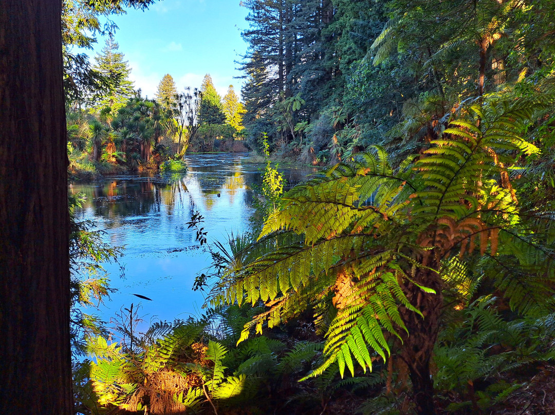 Hamurana Springs Nature Reserve-哈姆拉娜必去景点