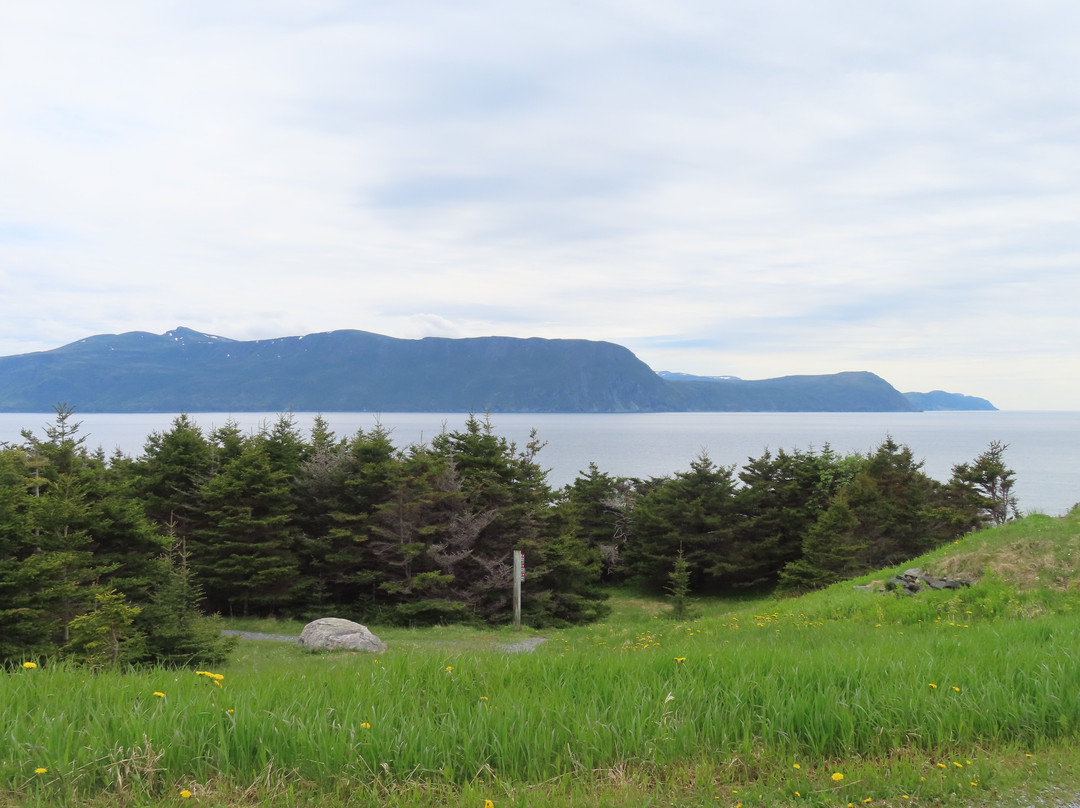 Lobster Cove Head Lighthouse-Rocky Harbour必去景点