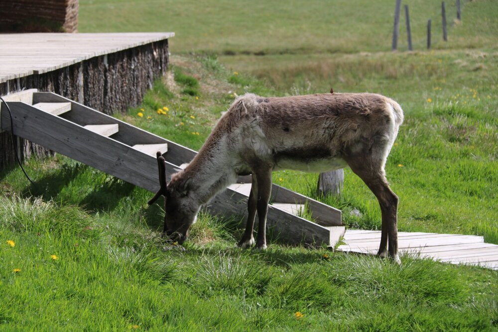 Möðrudalur Farm-Modrudalur必去景点
