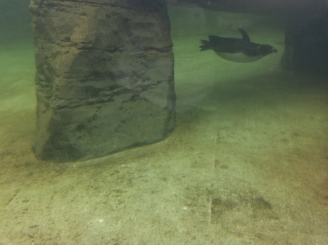 Sea Life Scarborough-斯卡伯勒必去景点