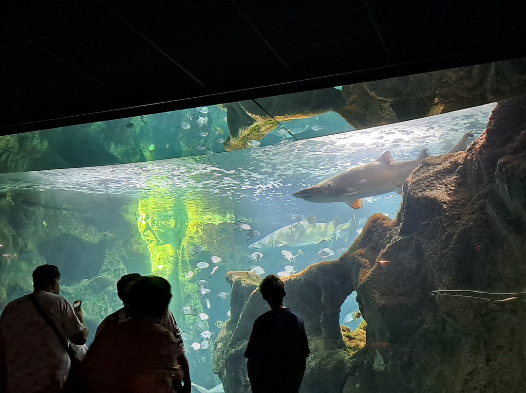 Aquarium La Rochelle-拉罗谢尔必去景点