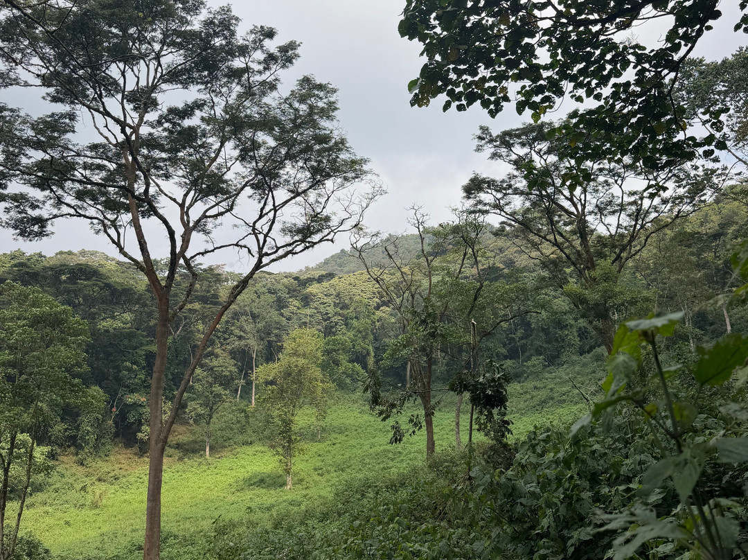 Bwindi Impenetrable Forest-Western Region必去景点