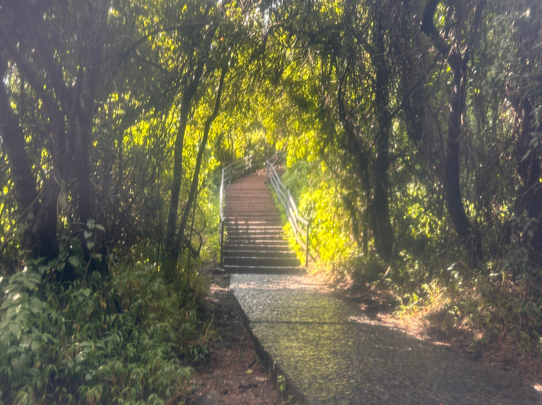 Victoria Falls, Mosi-Oa-Tunya-李文斯顿必去景点