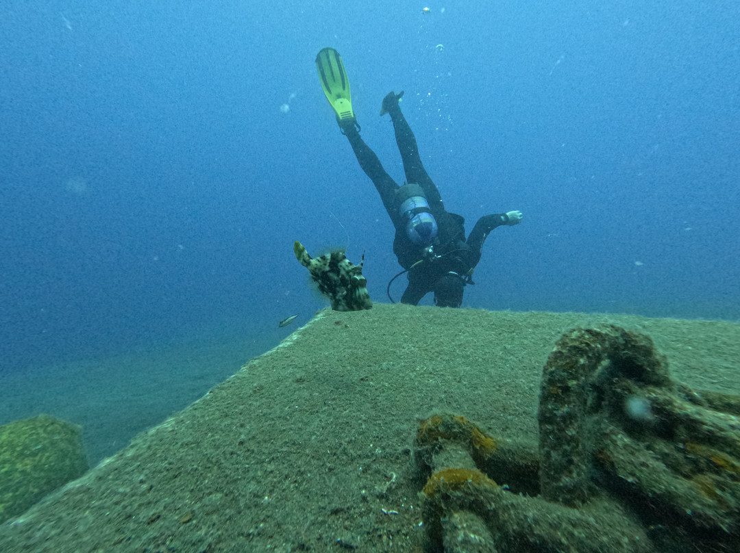 Ecological Divers Tenerife-Los Abrigos必去景点