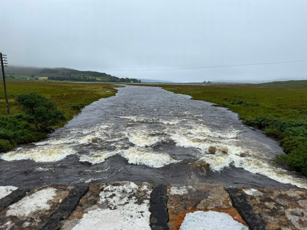Wild Mull Tours-Pennyghael必去景点