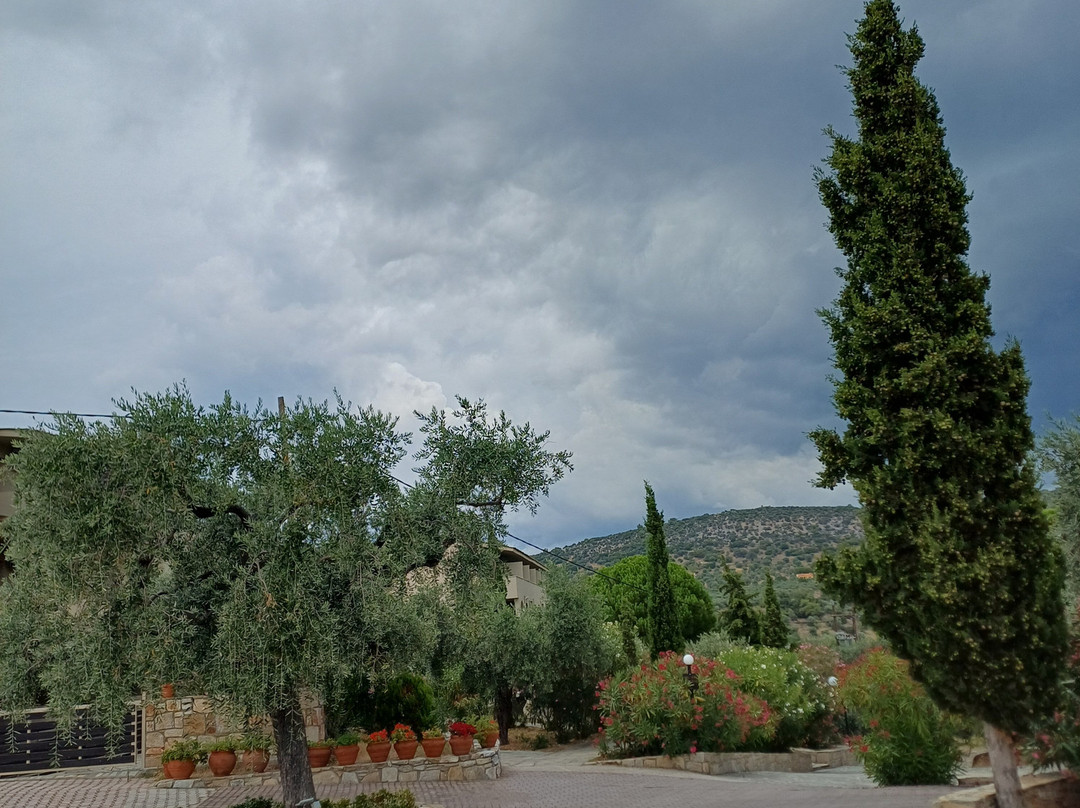 Aeolis Thassos Palace主图