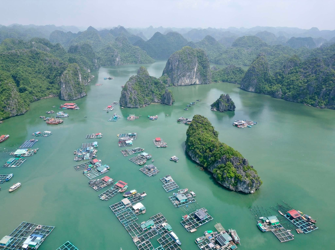 Cai Beo Fishing Village-Ha Long City必去景点