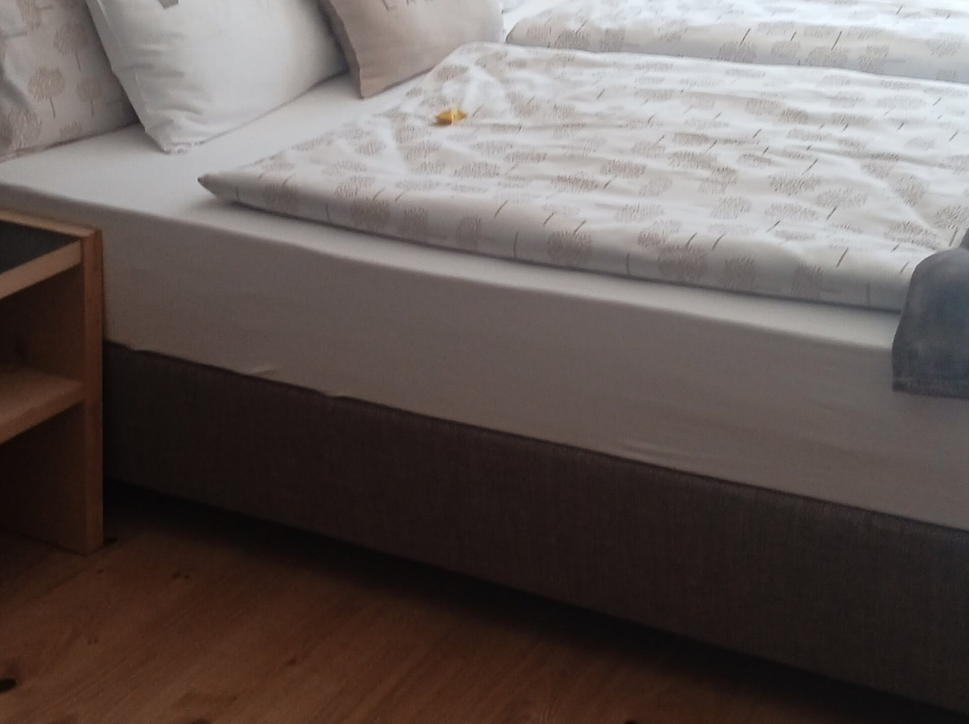 Hotel la Müda主图