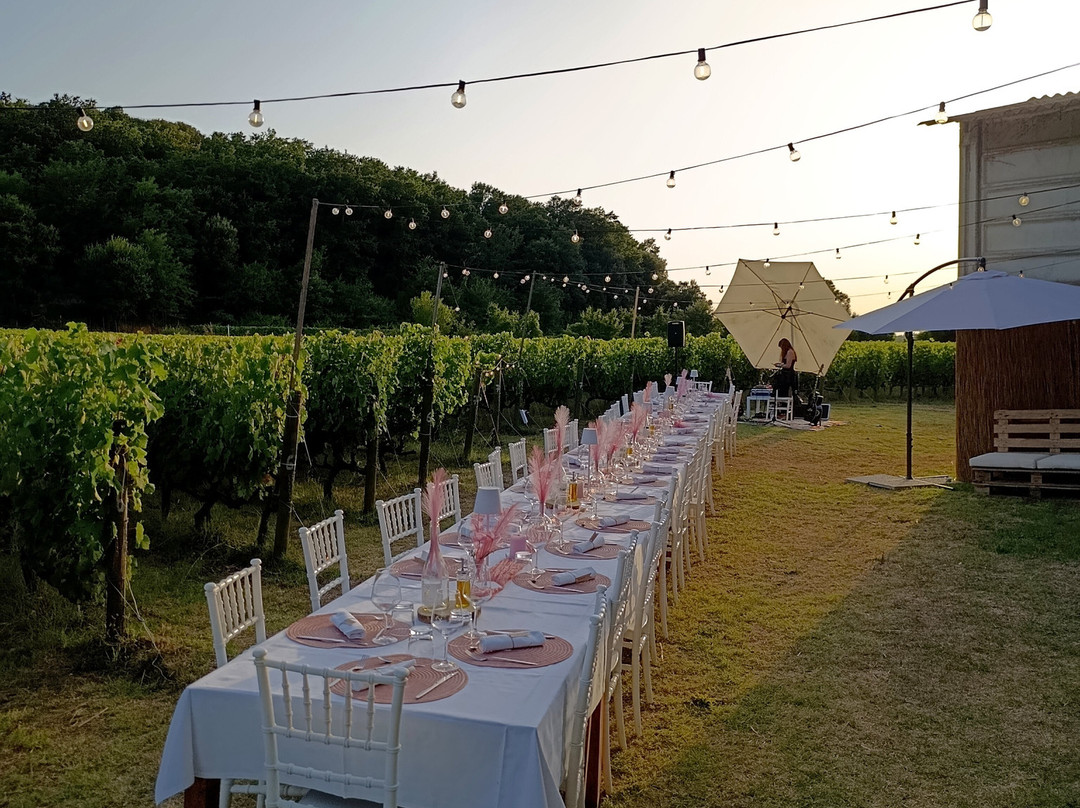 Tenuta La Macchia-Montescudaio必去景点