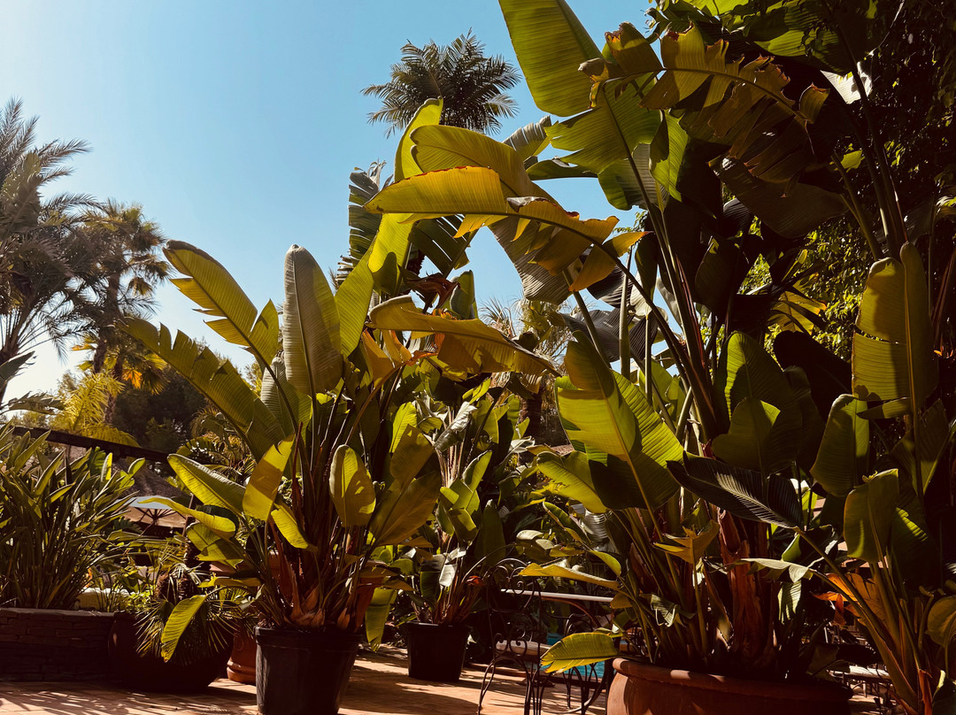 Swiss Moraira Hotel - Adults Only主图