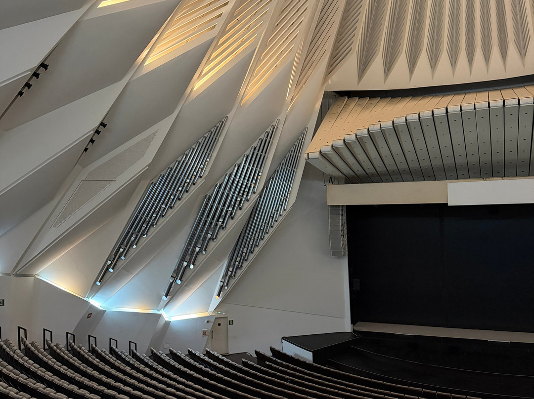 Tenerife Auditorium (Auditorio de Tenerife)-圣克鲁斯-德特内里费必去景点