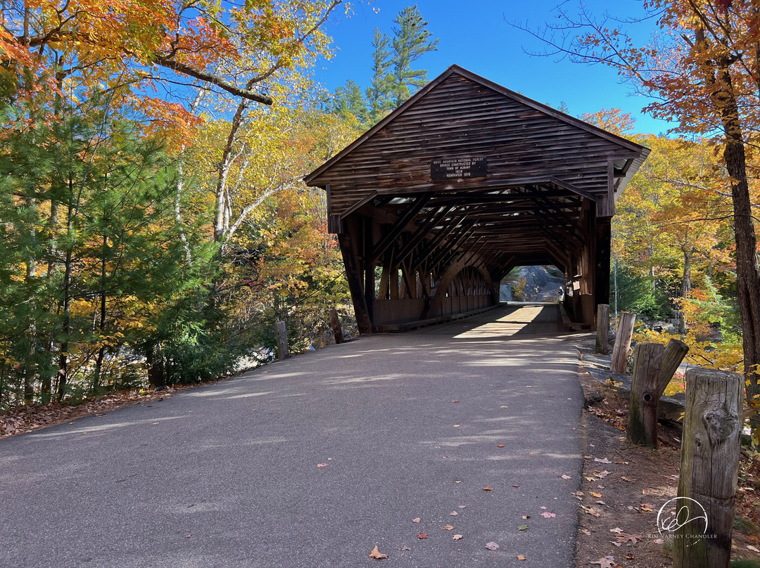 Albany Covered Bridge-Albany必去景点