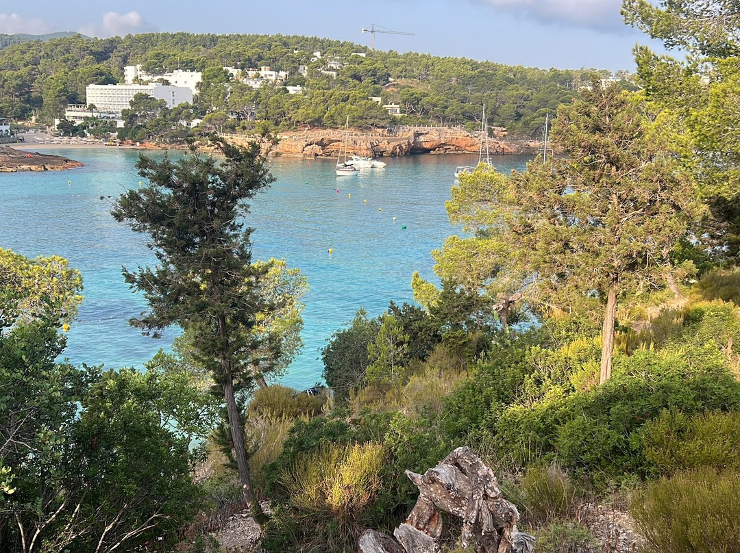 S'Arenal Gros-波蒂那茨必去景点