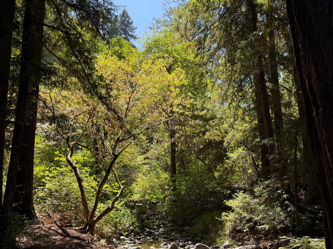 Bothe-Napa State Park-卡利斯托加必去景点