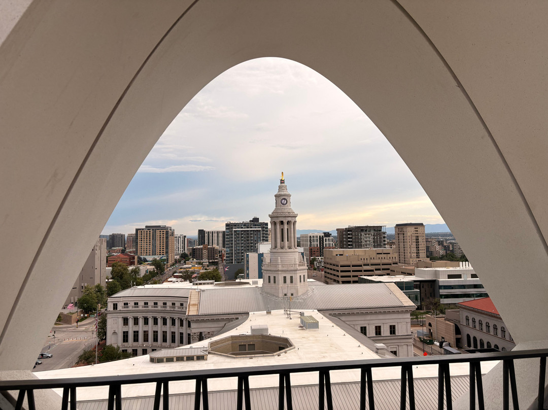 Stellar Jay