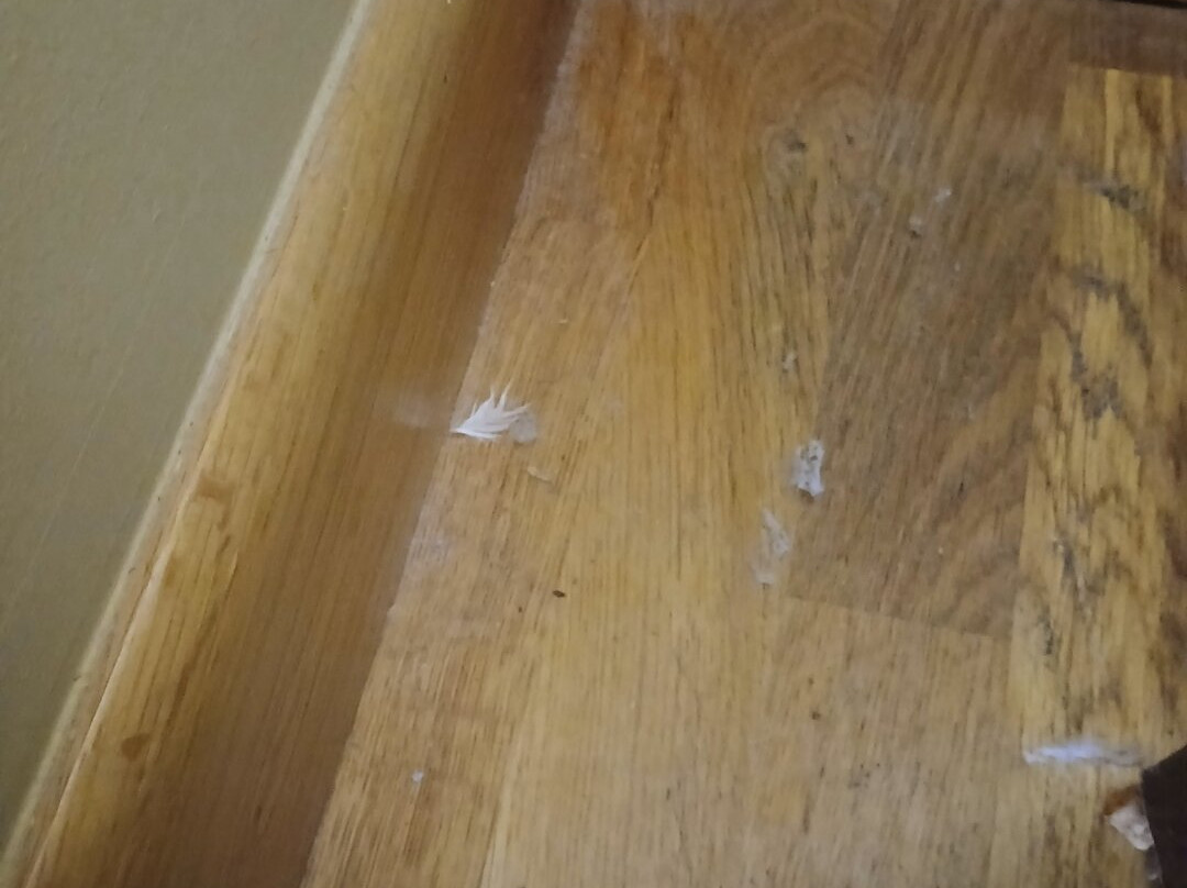 玫瑰别墅酒店及温泉主图