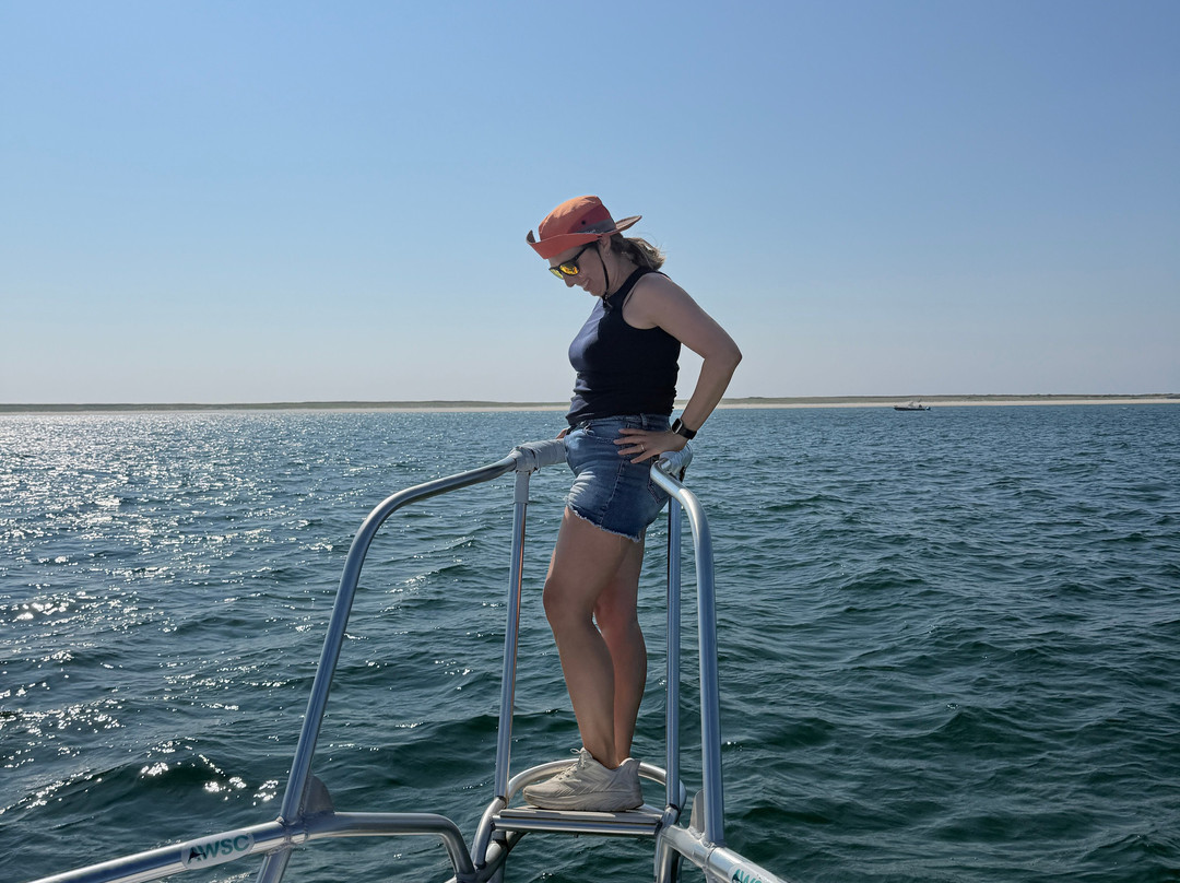 Atlantic White Shark Conservancy Ecotours-查塔姆必去景点