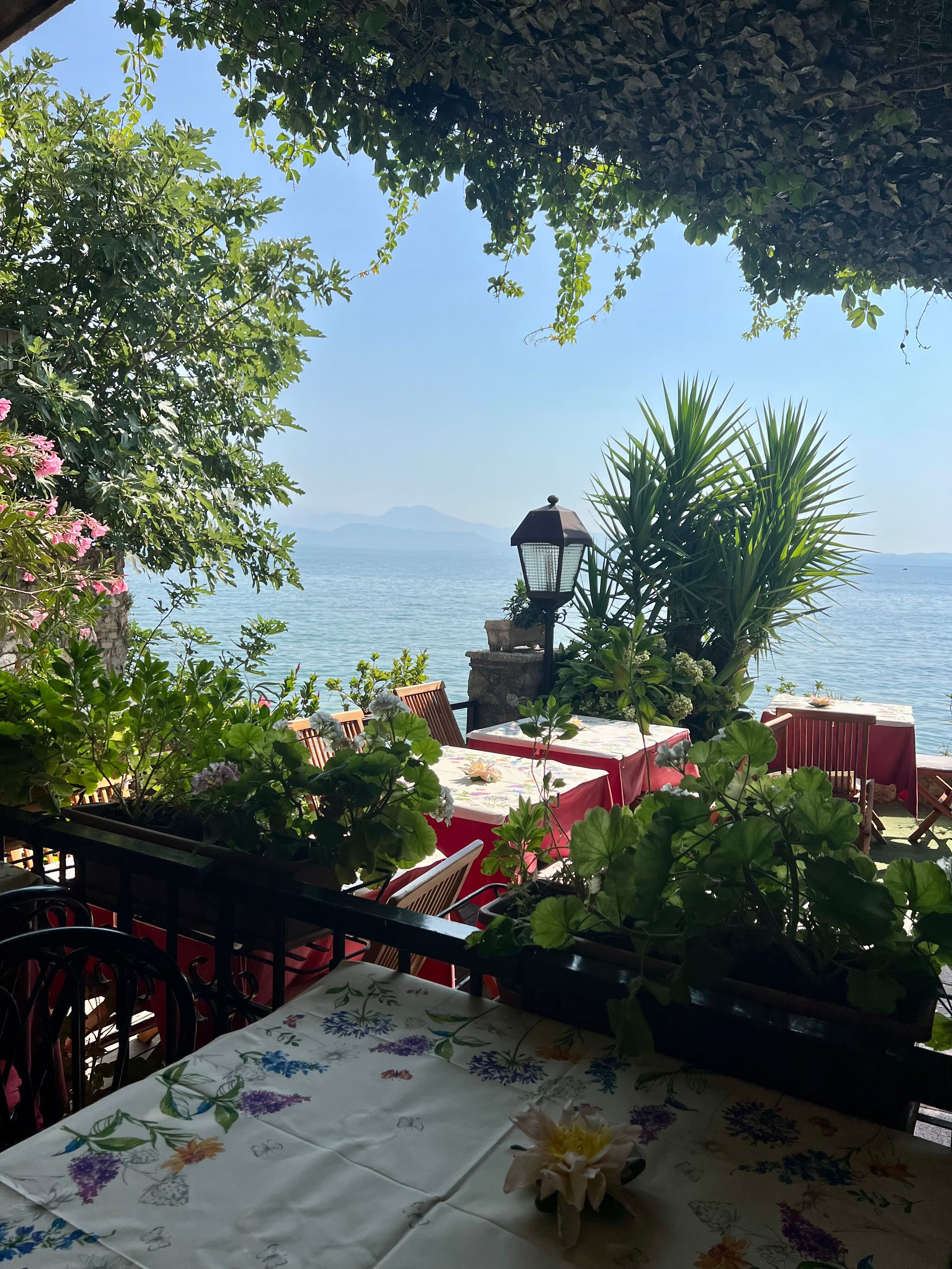 Hotel Meuble Grifone-旅行者