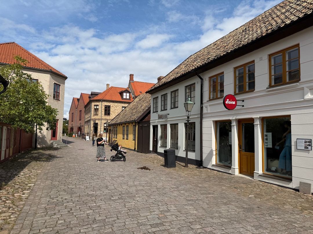 Fredriksdal Open-Air Museum and Botanical Garden-赫尔辛堡必去景点