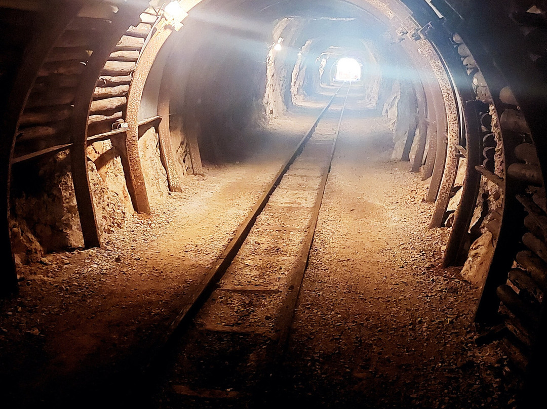 Vagonetto-Fokis Mining Park Tours-Amfissa必去景点