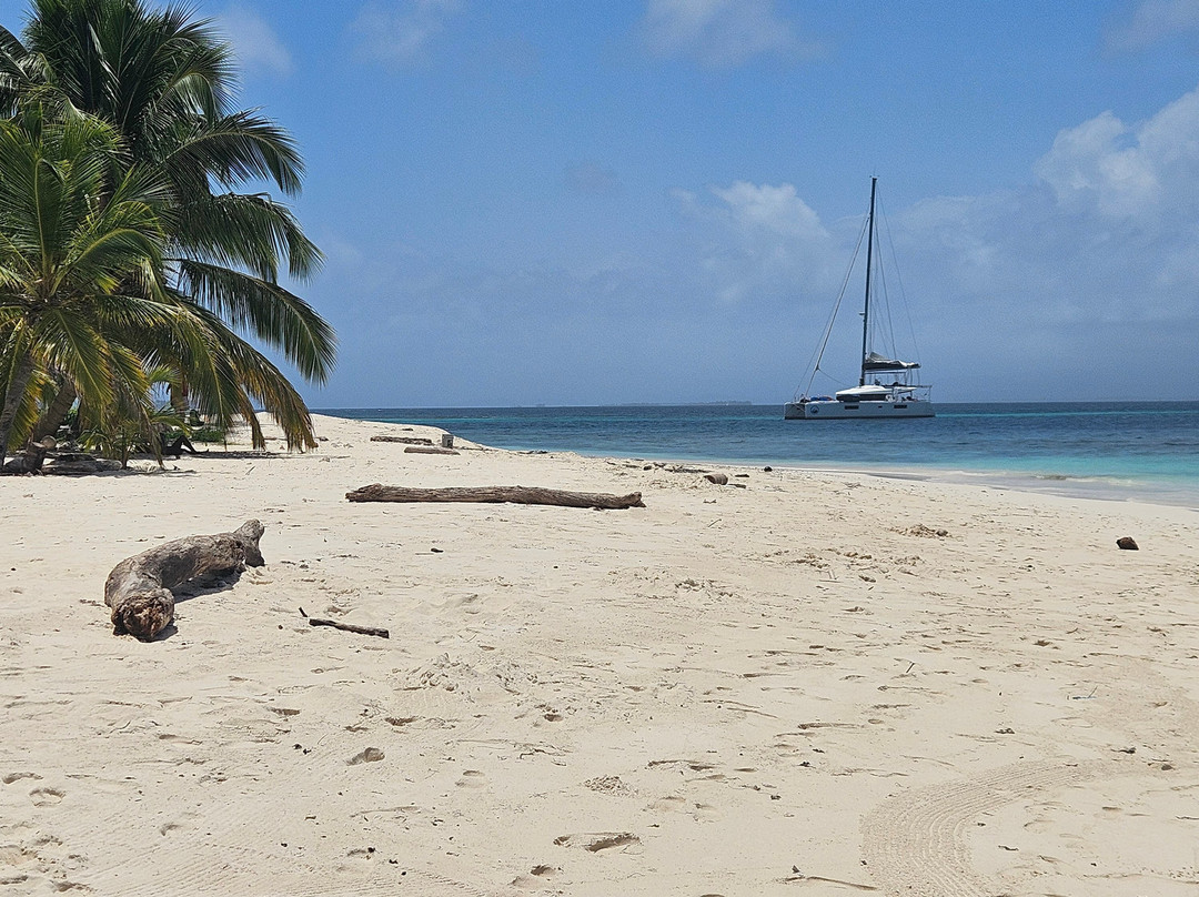 Catamaran Adventures San Blas-埃尔波韦尼尔必去景点