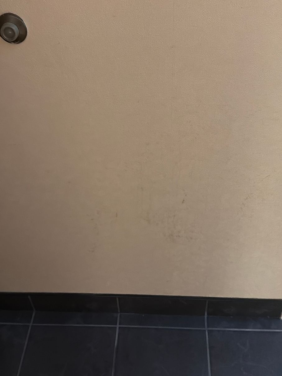米罗米奇温德姆戴斯酒店-旅行者