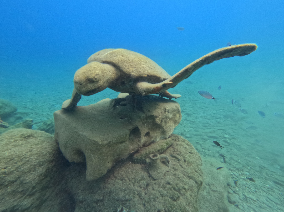 Hippocampus Dive Centre-巴厘必去景点