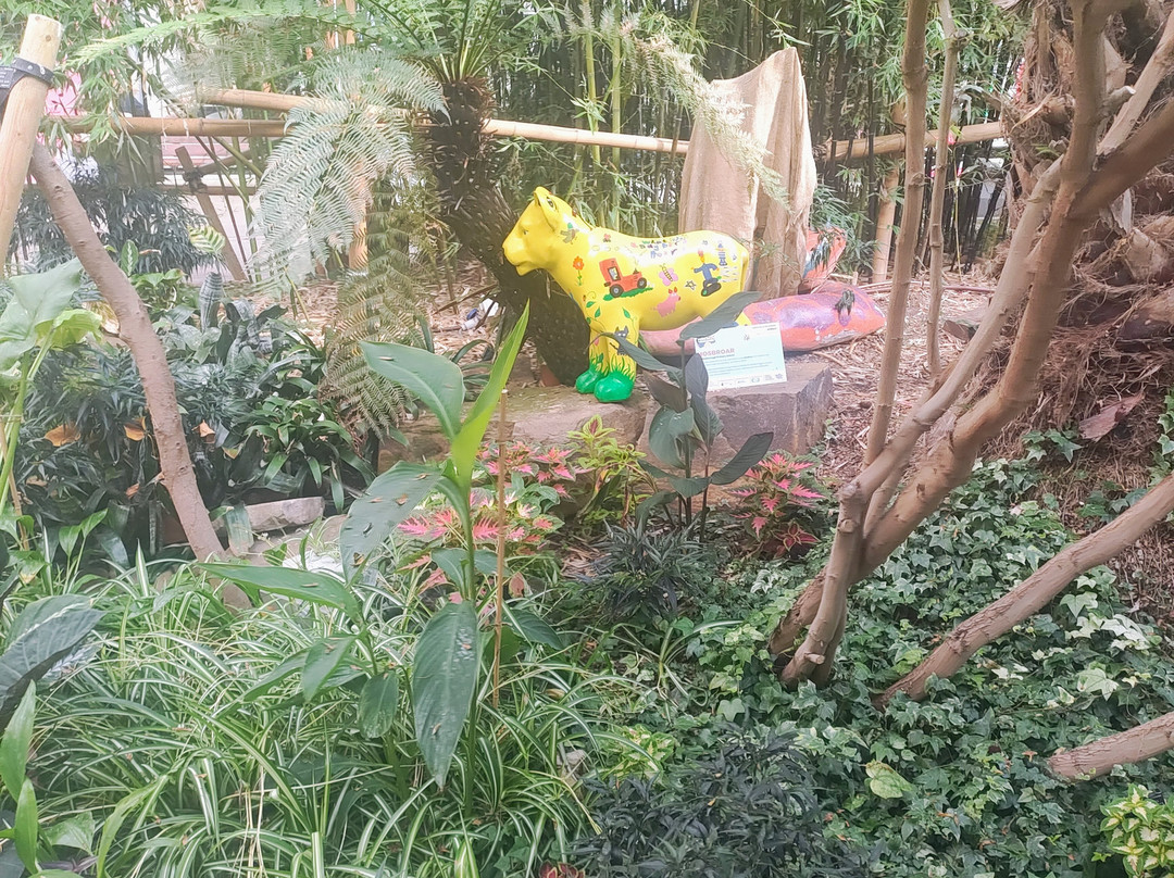 谢菲尔德冬季花园-谢菲尔德必去景点