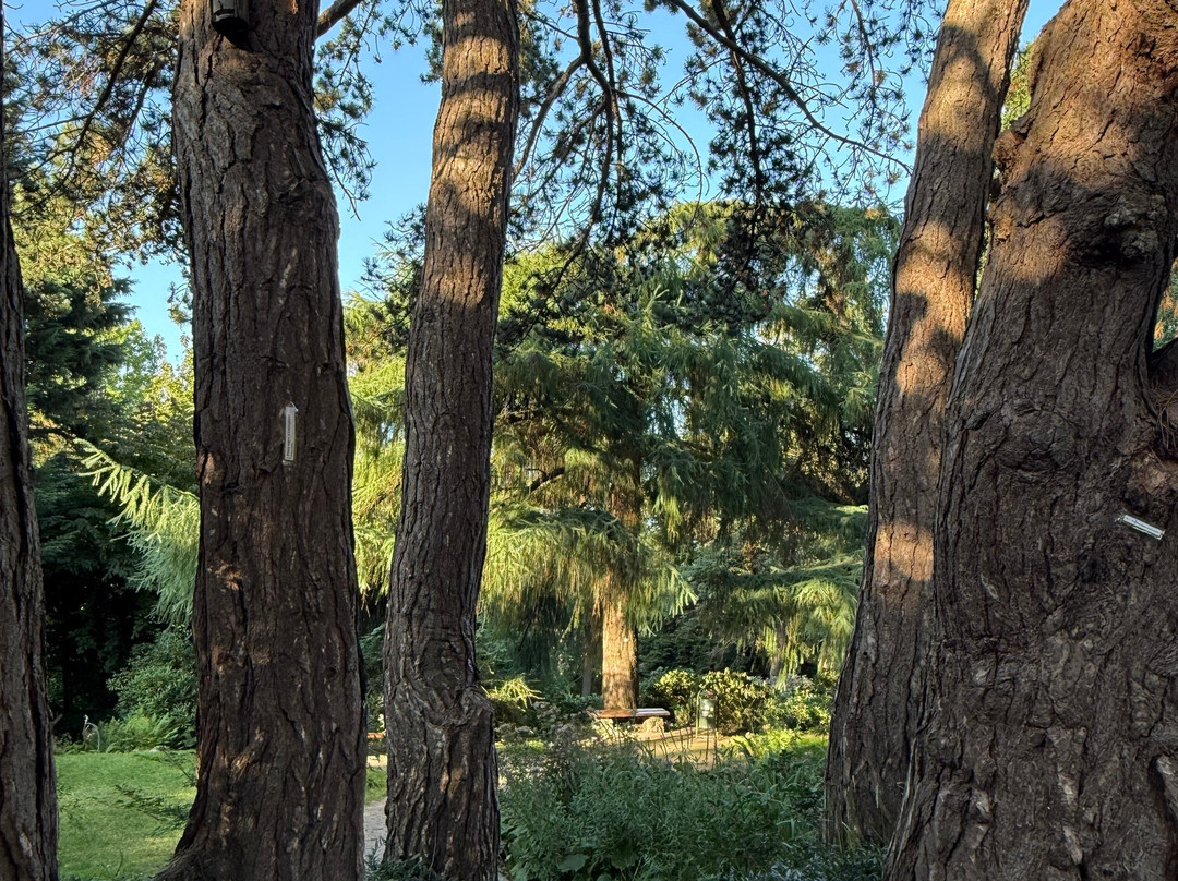 Alter Botanischer Garten-基尔必去景点