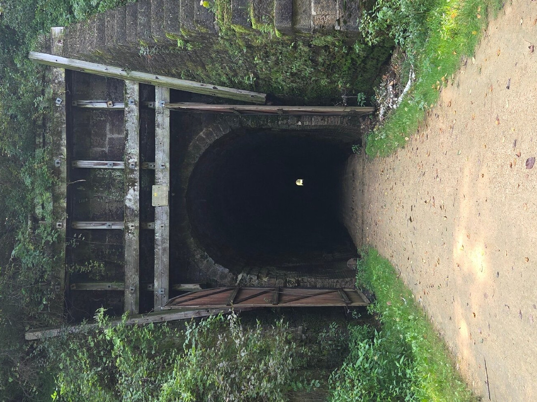 Elroy-Sparta State Trail-Elroy必去景点