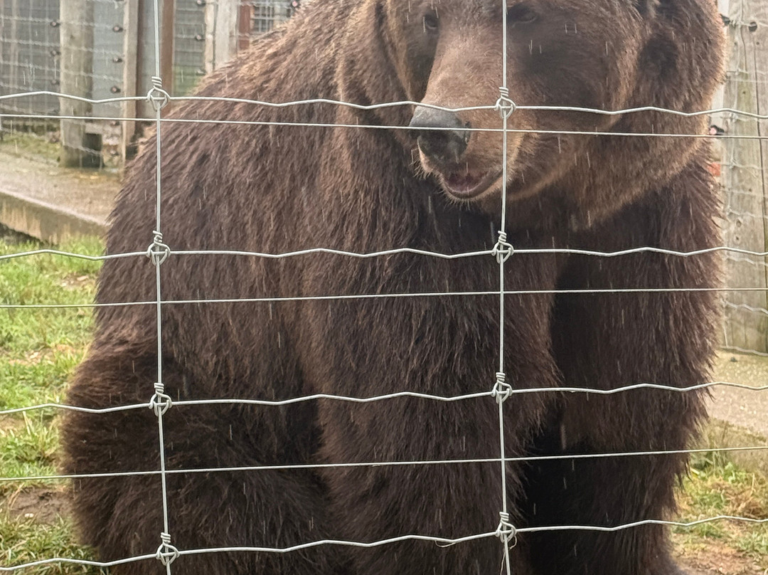 Wolds Wildlife Park-Horncastle必去景点