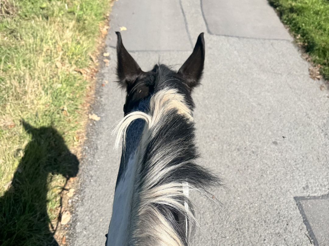 Tarden Farm Riding Stables-Mellor必去景点