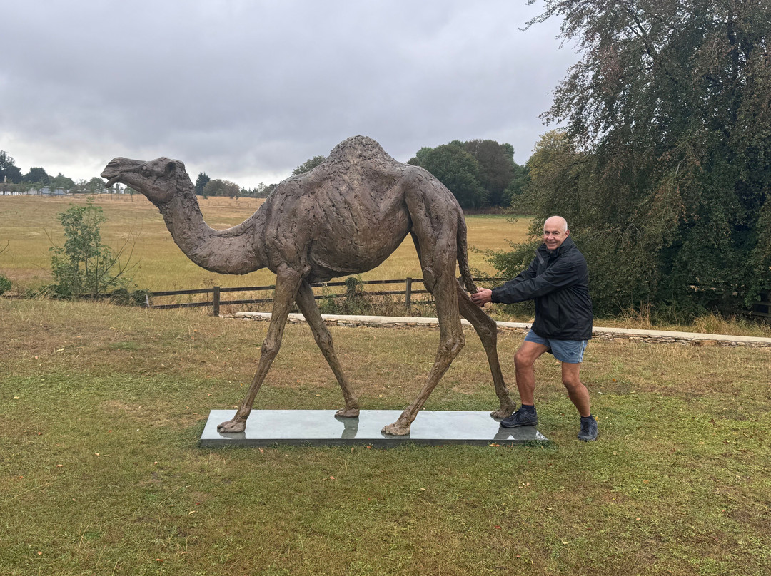 Cirencester Park-赛伦塞斯特必去景点