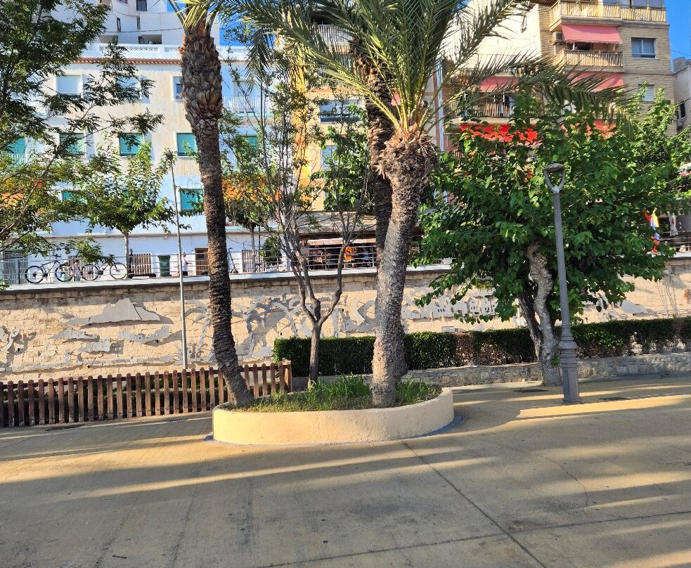 Parc d'Elx-贝尼多姆必去景点