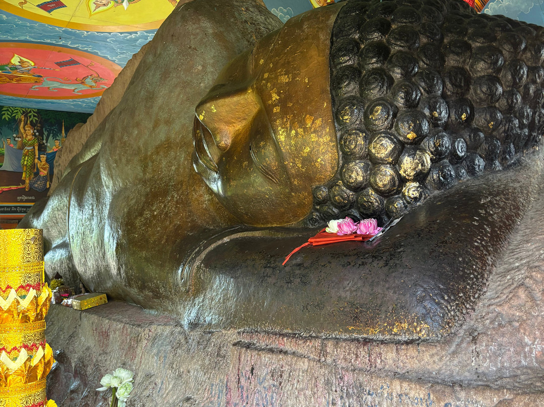 Viti's Siem Reap Private Driver & Tour-暹粒必去景点