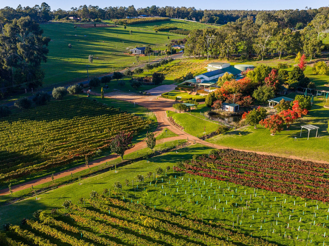 Myattsfield Vineyard-Carmel必去景点