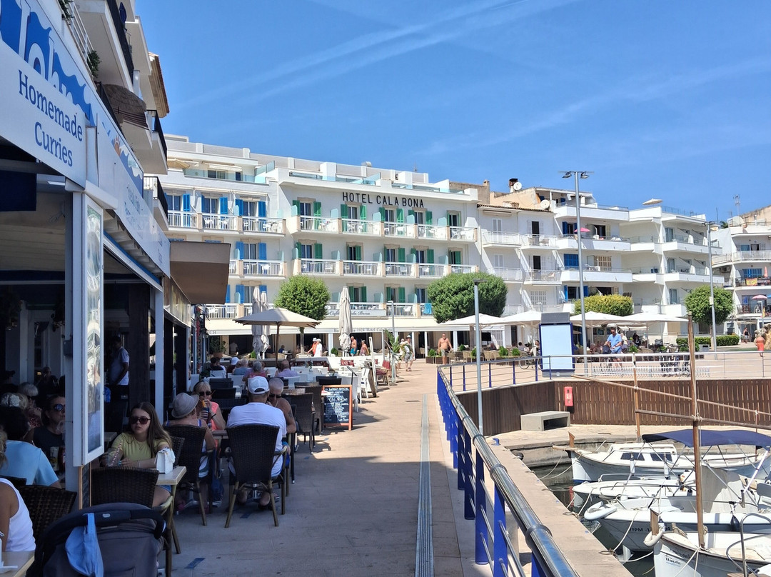 Protur Alicia Hotel主图