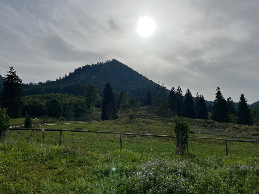 Stubn in der Frasdorfer Hütte