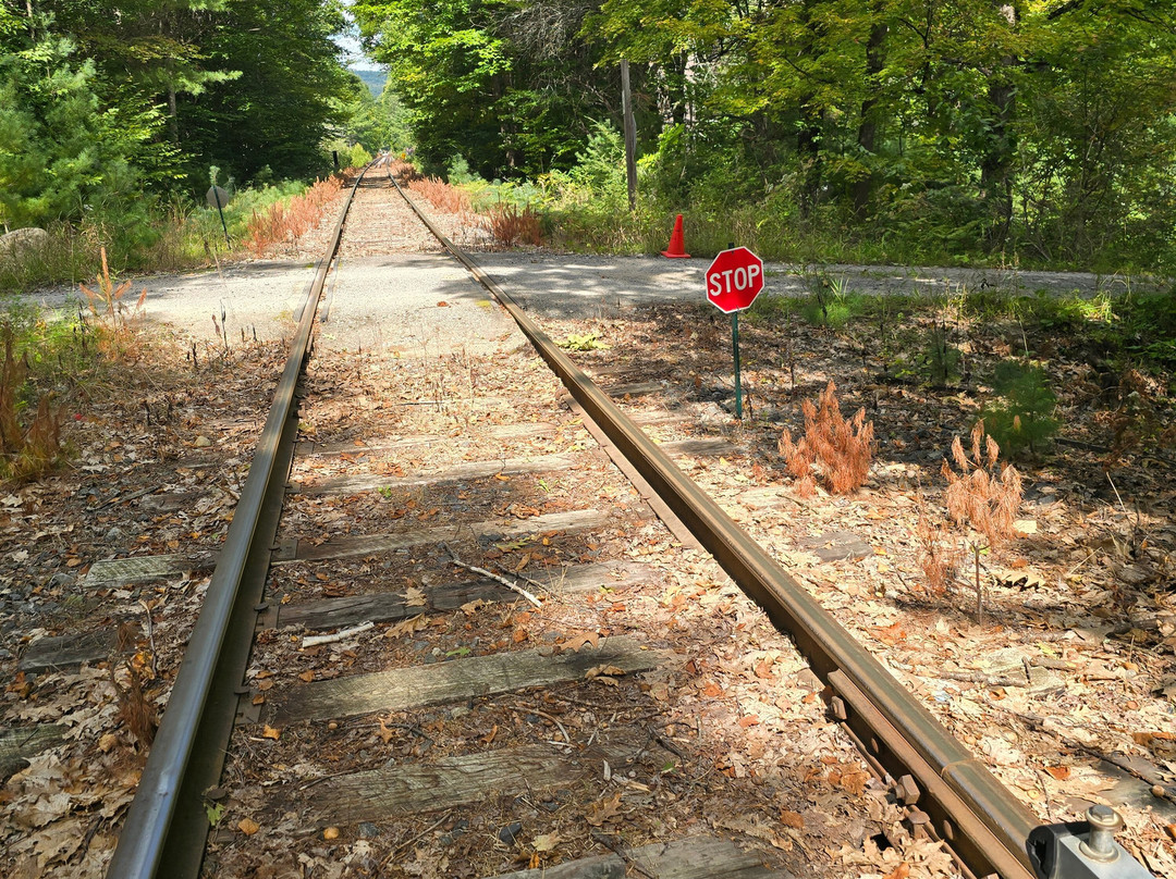 Revolution Rail Co. Hadley-Hadley必去景点